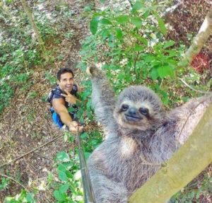 This picture almost makes selfie sticks okay. Almost. Sloth selfie