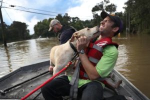 a man in a boat with a dog