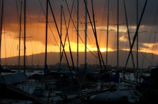 a group of sailboats in a harbor