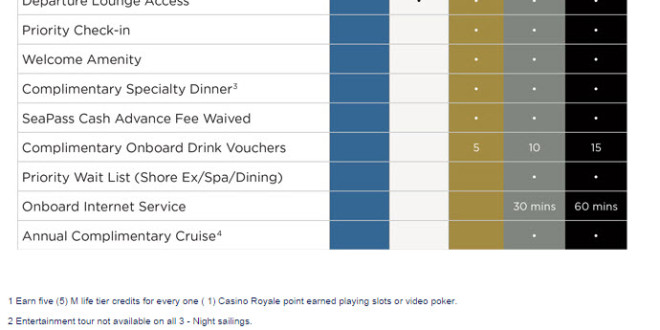 a screenshot of a cruise ship