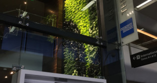 a green wall with plants on the side
