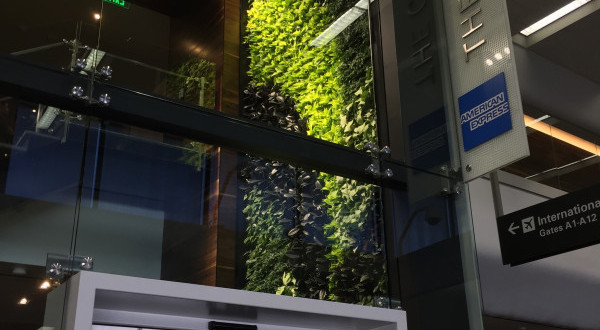 a green wall with plants on the side