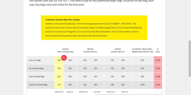 spirit price for checked bag