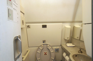 a toilet with a sink and a toilet seat