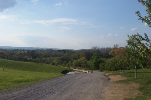 a gravel road with trees and grass