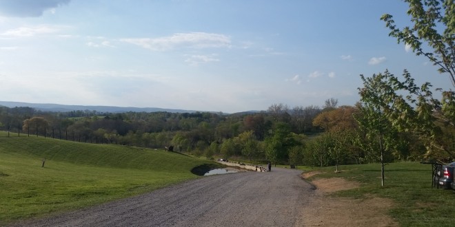 a gravel road with trees and grass