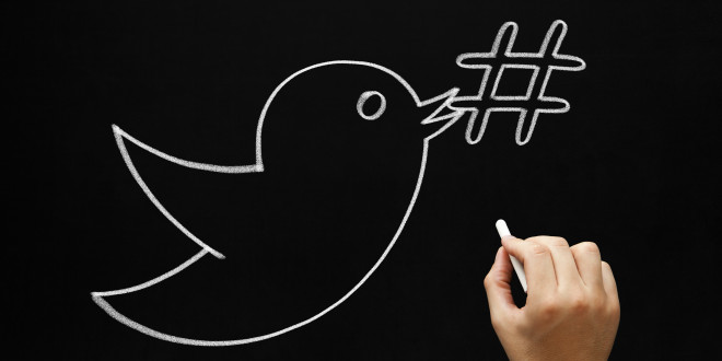 a hand drawing a bird on a blackboard
