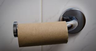 a roll of toilet paper on a holder