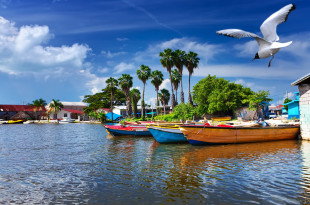 a group of boats in a body of water with a bird flying over