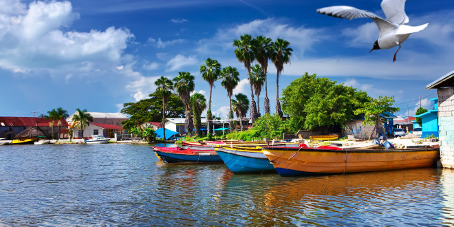 a group of boats in a body of water with a bird flying over