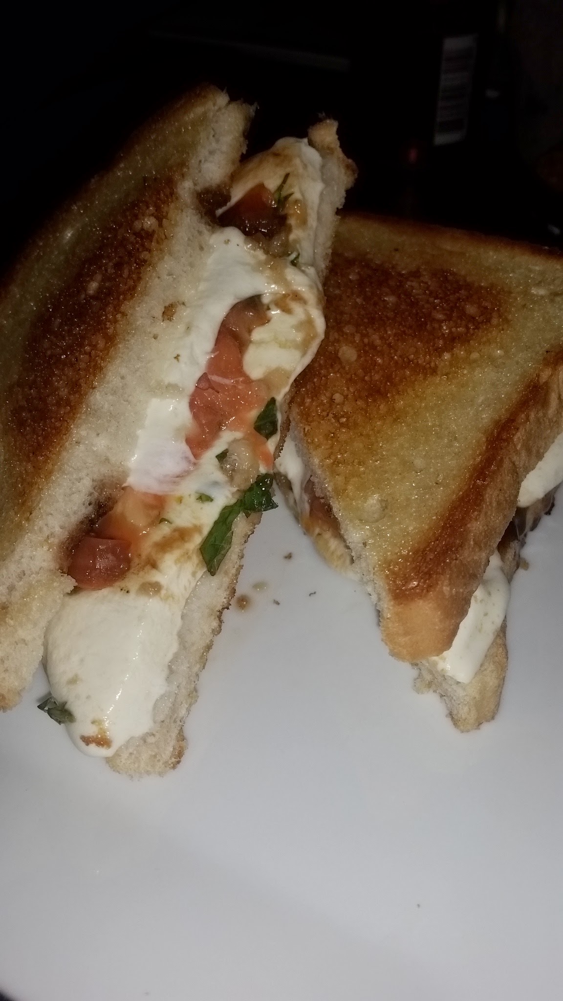 a grilled sandwich on a plate