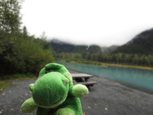 a stuffed animal by a lake