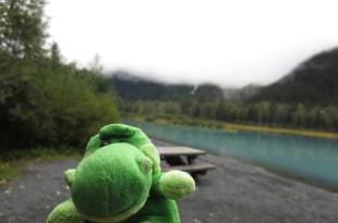 a stuffed animal by a lake