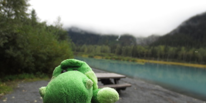 a stuffed animal by a lake