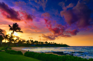 a beach with palm trees and a sunset