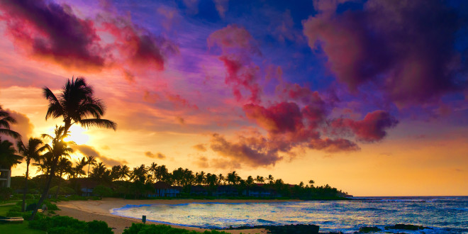 a beach with palm trees and a sunset