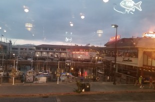 a view of a harbor from a window