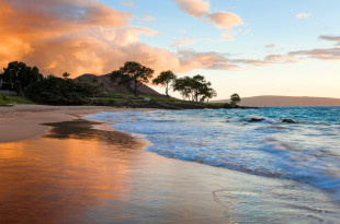 a beach with waves and trees