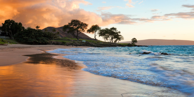 a beach with waves and trees
