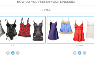 a collage of different types of lingerie