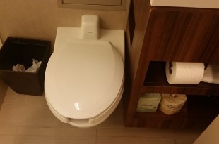 a toilet in a bathroom