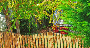 a wooden fence and trees
