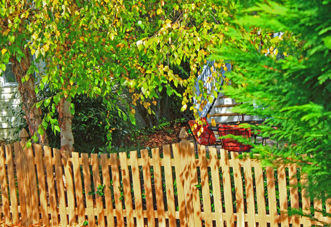a wooden fence and trees