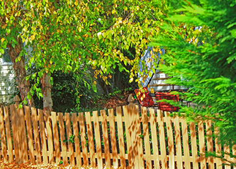 a wooden fence and trees