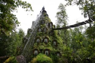 a house covered in ivy