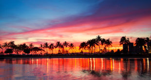 a body of water with palm trees and a sunset
