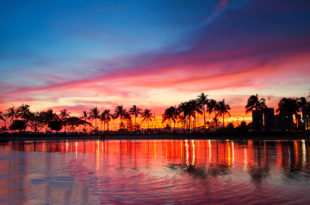 a body of water with palm trees and a sunset