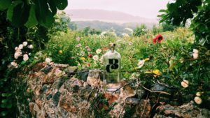 a bottle of alcohol on a stone wall with flowers