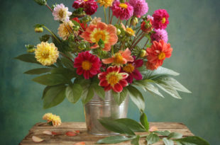 a bouquet of flowers in a bucket