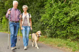 a man and woman walking a dog