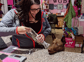 a woman feeding a dog